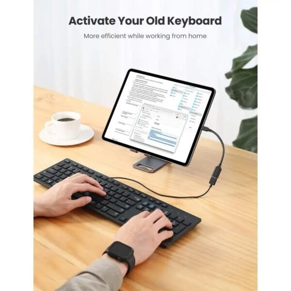 2025/12/1000363940.jpg UGREEN OTG Cable Adapter From USB-C 3.1 Male to USB-A 3.0 Female - US154 30701 Black