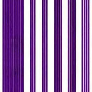 AsiaHorse 18AWG Sleeved PSU Extension Cable Kit 6-Pack | 24Pin + (6+2)Pin x2 + (4+4)Pin + 6Pin x2 | Premium Braided Purple Cables | Durable & Stylish Build